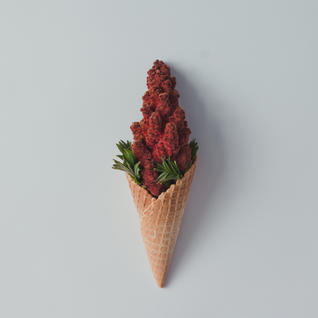 Ice cream cone with red flowers and leaves. Summer minimal concept. Flat lay.の写真素材