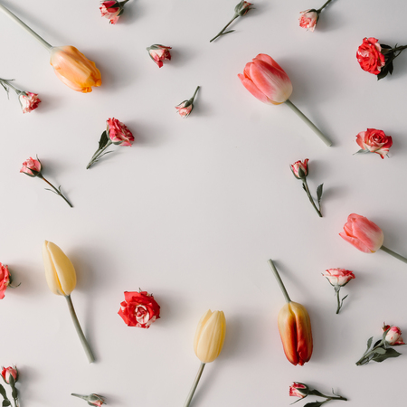 Creative minimal arrangement of colorful flowers. Spring concept. Flat lay.の写真素材