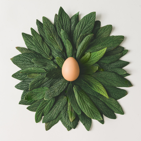 Easter egg in nest made of green leaves. Creative easter concept. Minimal flat lay.の写真素材