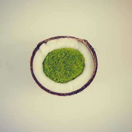 Coconut tropical island. Minimal summer concept. Flat lay.の写真素材