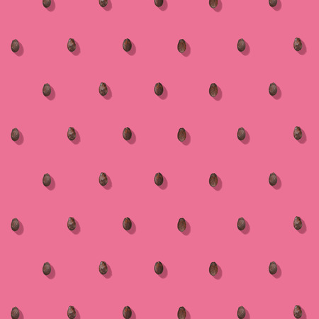 Watermelon seeds pink pattern. Flat lay. Summer concept.の写真素材