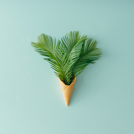 Palm tree leaves in ice cream cone on pastel blue background. Flat lay. Summer tropical concept.の写真素材