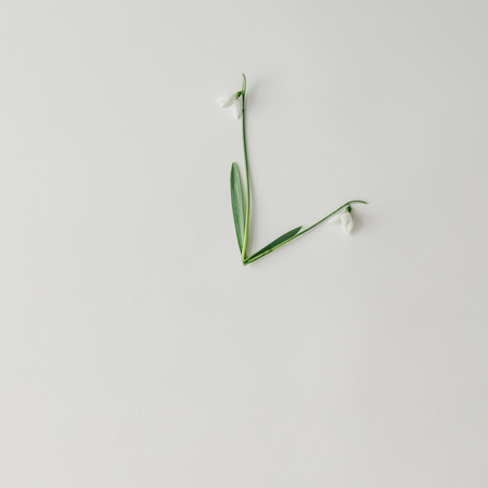 Creative layout made with snowdrop flowers on bright background. Flat lay. Spring minimal concept.の写真素材