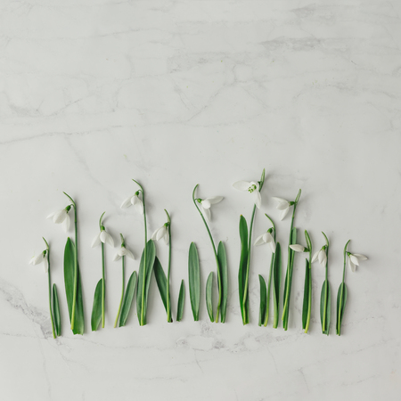 Creative layout made with snowdrop flowers on bright background. Flat lay. Spring minimal concept.の写真素材