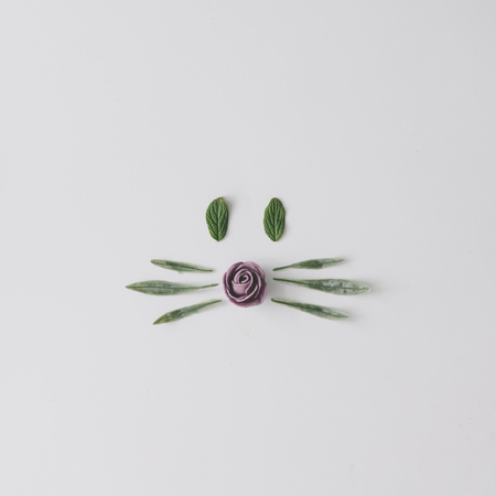 Bunny rabbit face made of natural green leaves on bright background. Easter minimal concept. Flat lay.の写真素材