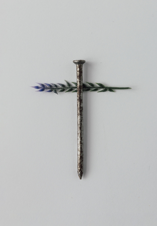 Nail of The Holy Cross of Jesus Christ with thorns. Minimal Easter concept.の写真素材
