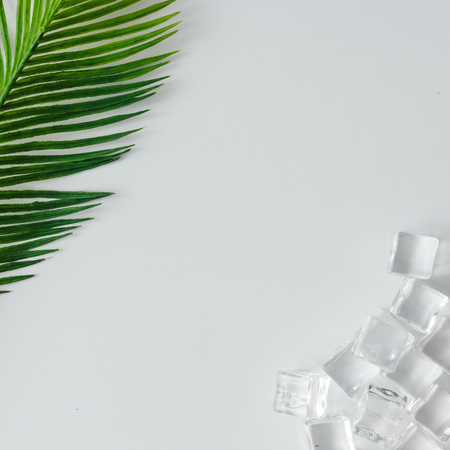 Creative layout of ice cubes and palm leaves on bright background. Flat lay summer drink minimal concept.の写真素材