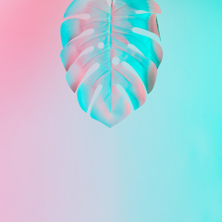 Tropical leaf in vibrant bold gradient holographic colors. Concept art. Minimal surrealism.の写真素材