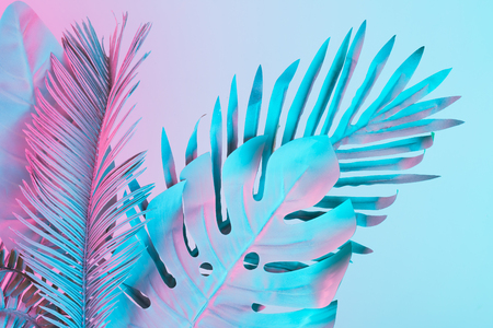 Tropical and palm leaves in vibrant bold gradient holographic colors. Concept art. Minimal surrealism.