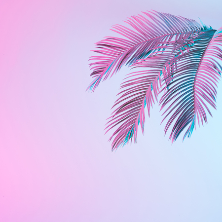 Tropical and palm leaves in vibrant bold gradient holographic neon  colors. Concept art. Minimal surrealism background.の写真素材