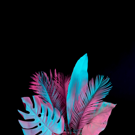 Tropical and palm leaves in vibrant bold gradient holographic neon  colors. Concept art. Minimal surrealism background.の写真素材