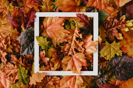 Creative layout made of autumn leaves with paper card note. Flat lay. Nature concept.の写真素材