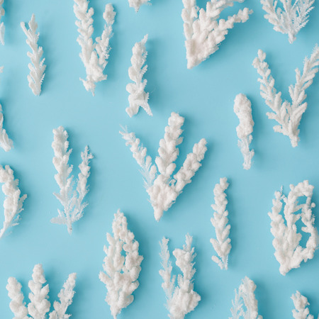 Composition of snowy Christmas tree branches on pastel blue background. Flat lay.の写真素材
