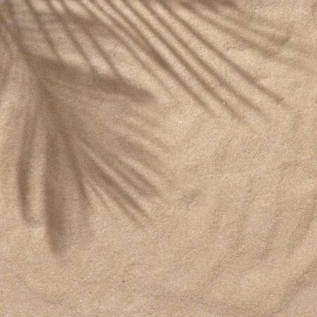 Summer beach day scene with tropical plams shadow on sand background. Minimal sunlight tropical flat...