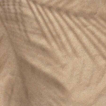 Summer beach day scene with tropical plams shadow on sand background. Minimal sunlight tropical flat...