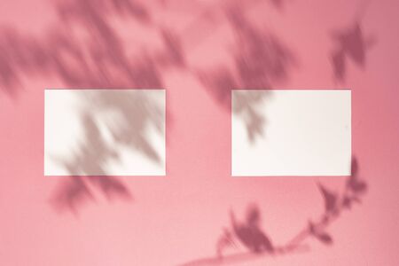 Trendy Summer layout made with paper card note  on bright pastel pink sunlit background. Minimal summer shadow concept with creative copy space.の写真素材