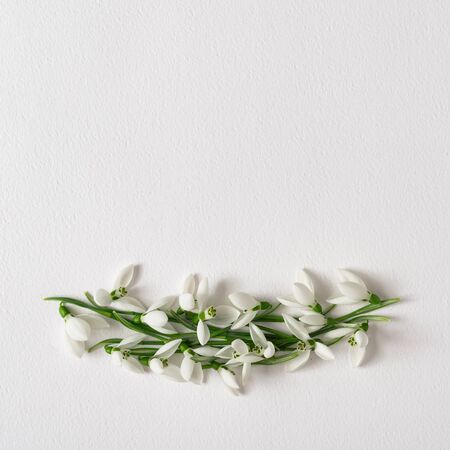 Creative layout made with snowdrop flowers on bright background. Minimal nature love idea. Spring flowers concept.の写真素材