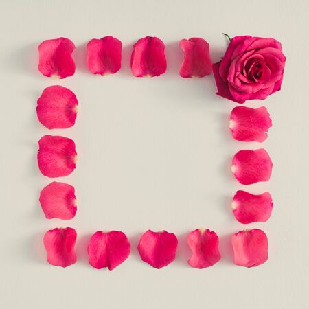 Creative layout made with rose petals and flower. Minimal nature background. Spring flowers concept.の写真素材