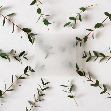 Creative layout made with green leaves on bright background. Minimal nature love idea. Spring...