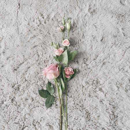 Fur background with Spring or Summer flowers. Minimal nature love concept. Mother's day Or Valentines idea.の写真素材