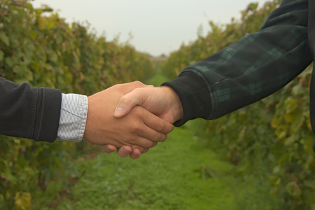 Hands shakingの写真素材