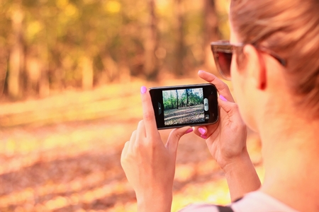 Mobile camera take photo in nature