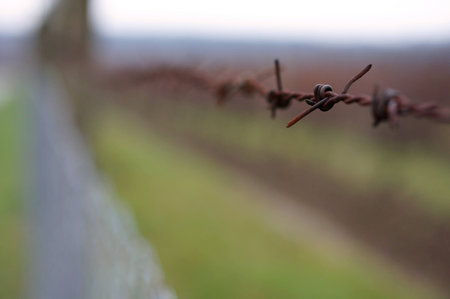 Barbed wireの写真素材
