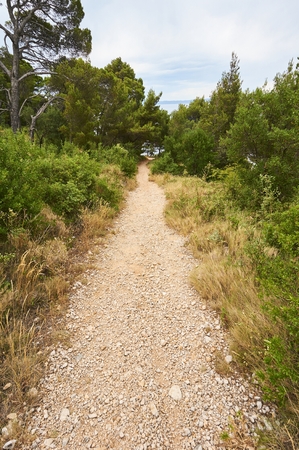 Gravel path in forest near Adriatic sea.の写真素材