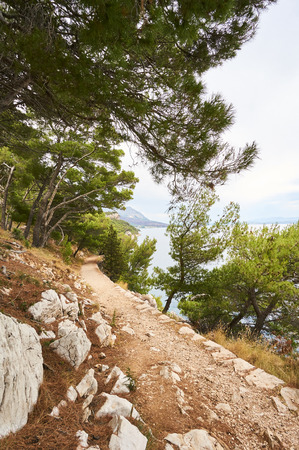 Gravel path in forest near Adriatic sea.の写真素材