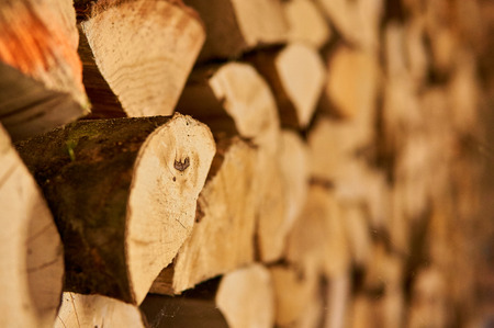 Background of wood.