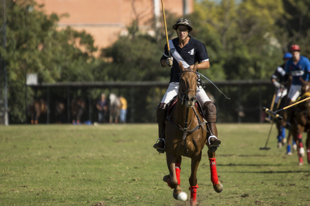 POLO MATCHのeditorial素材
