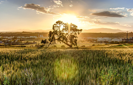 SUNSET LANDSCAPEの写真素材