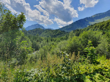 At the top of the mountain.の写真素材