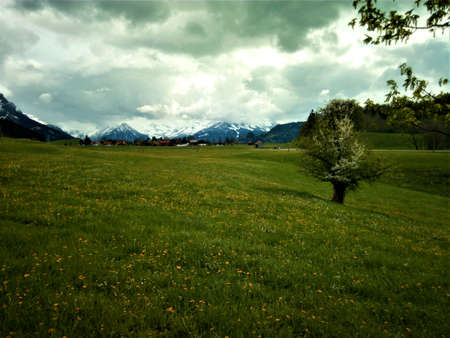 Cloudy spring in the mountains.の写真素材