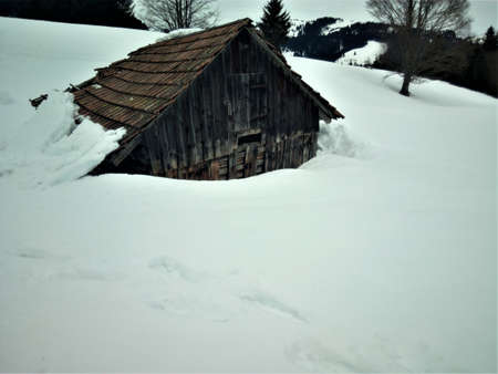 Deep snow.の写真素材