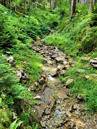 Mountain stream.の写真素材