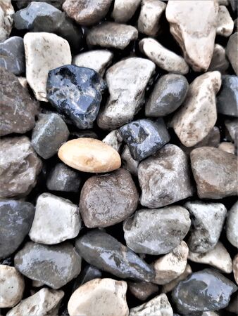 small wet stone of different colors after rainの写真素材