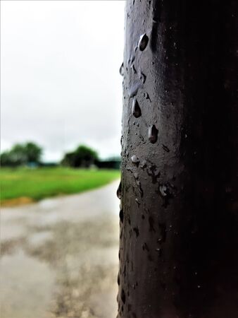 raindrops on a dark wall in summerの写真素材