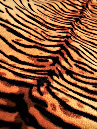 tiger pattern on bright saturated color materialの写真素材
