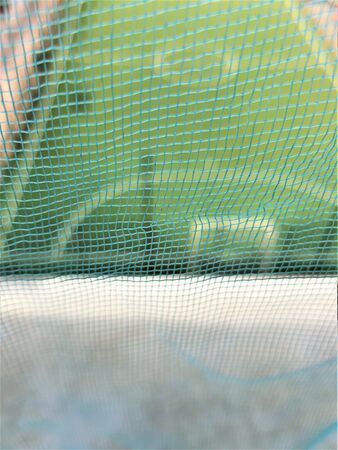 view from the apartment window of a courtyard football box through a mosquito netの写真素材