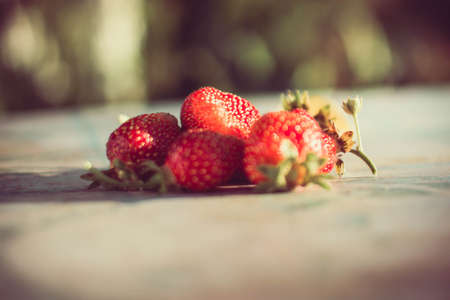 natural strawberryの写真素材