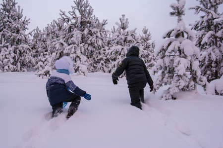 kids go into the woods through the snowdriftsの写真素材