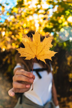 A yellow autumn fallen leaf in the hand of a young womanの写真素材
