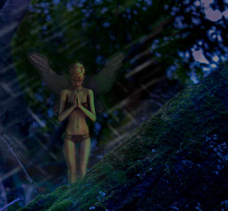 fairy perched on tree with black blue backgroundの写真素材