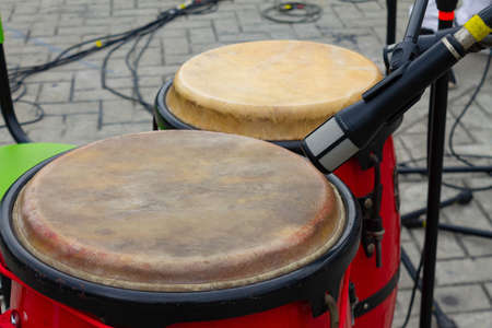 congas bongo percussion for concert
