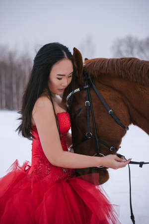 Young beautiful woman in red dress riding horse on sea backgroundの写真素材