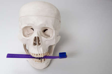 Medical assistant skull proper teeth cleaning, mask, and toothbrush