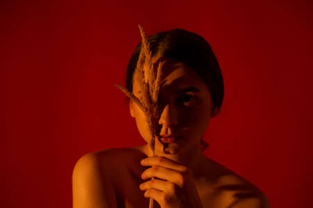 Girl with a bouquet of dead wood on a red backgroundの写真素材