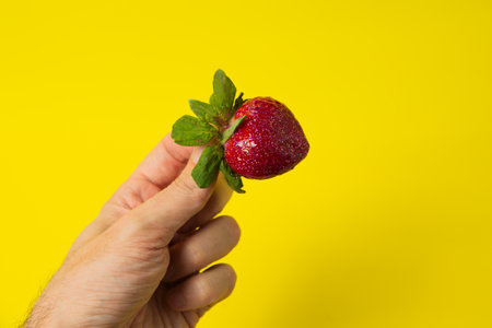 Strawberries on a yellow background. Minimal color still life photographyの写真素材