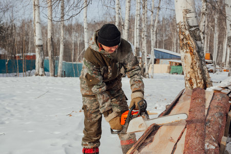 A logger saws a tree in the forest in winter, in Russia for firewoodの写真素材